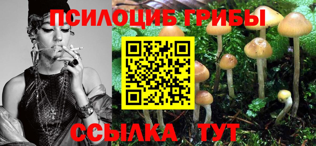 Галлюциногенные грибы прущие грибы Муром